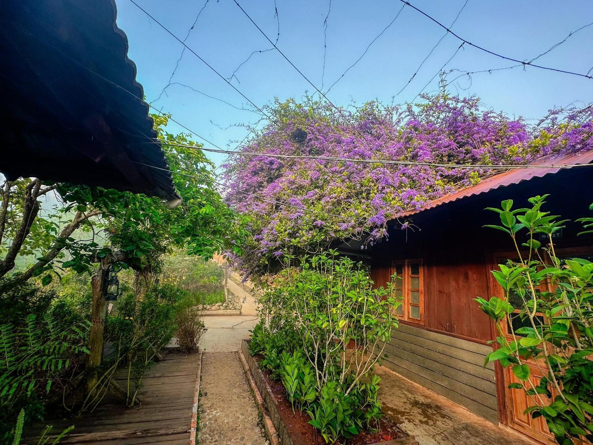 Moc Tra Farm Villa Xuan Truong Buitenkant foto