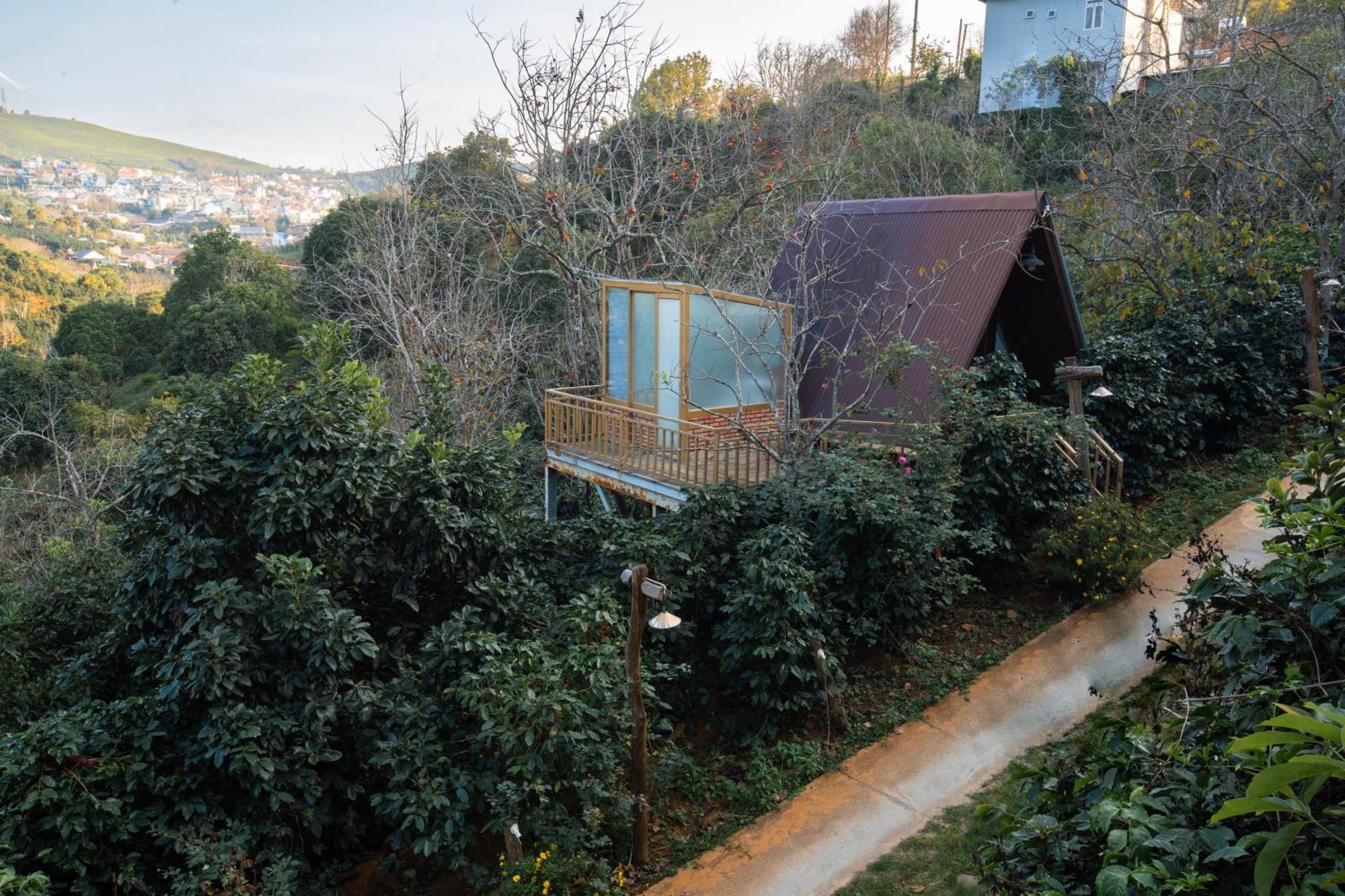 Moc Tra Farm Villa Xuan Truong Buitenkant foto
