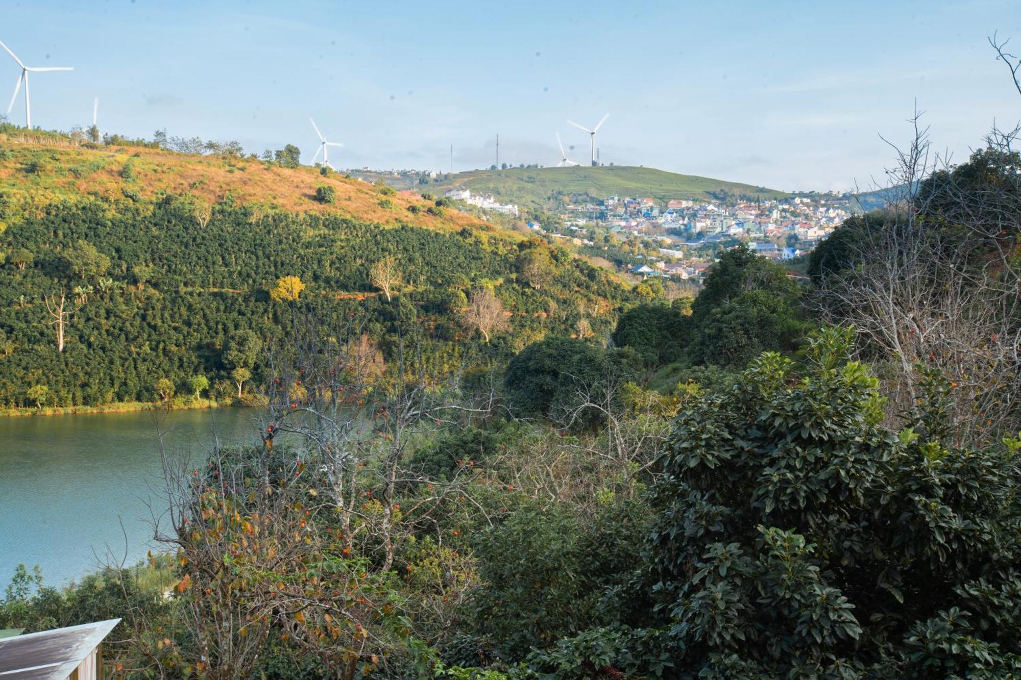 Moc Tra Farm Villa Xuan Truong Buitenkant foto